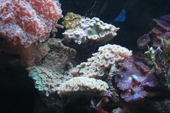 Killikus&reg; Fotographie